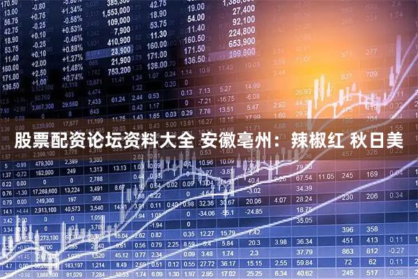股票配资论坛资料大全 安徽亳州：辣椒红 秋日美